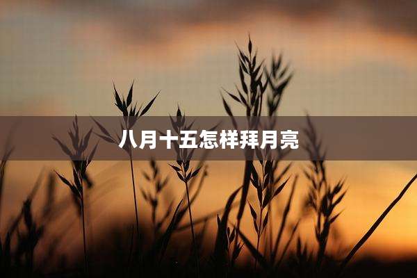 八月十五怎样拜月亮