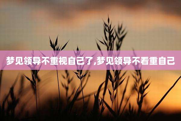梦见领导不重视自己了,梦见领导不看重自己