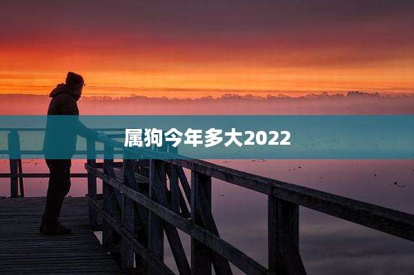 属狗今年多大2022