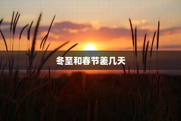 冬至和春节差几天