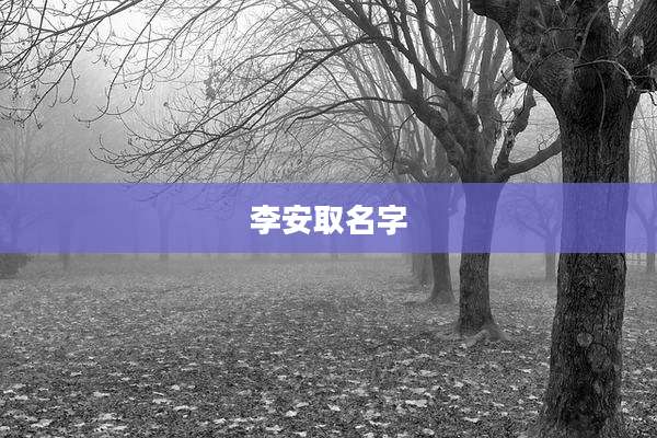 李安取名字