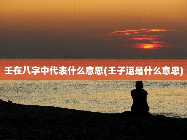 壬在八字中代表什么意思(壬子运是什么意思)