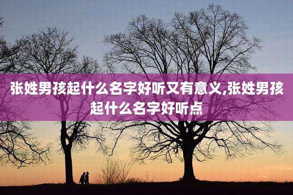 张姓男孩起什么名字好听又有意义,张姓男孩起什么名字好听点