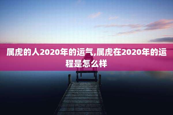 属虎的人2020年的运气,属虎在2020年的运程是怎么样