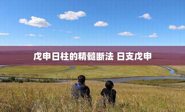 戊申日柱的精髓断法 日支戊申
