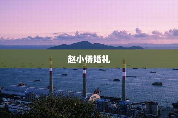 赵小侨婚礼