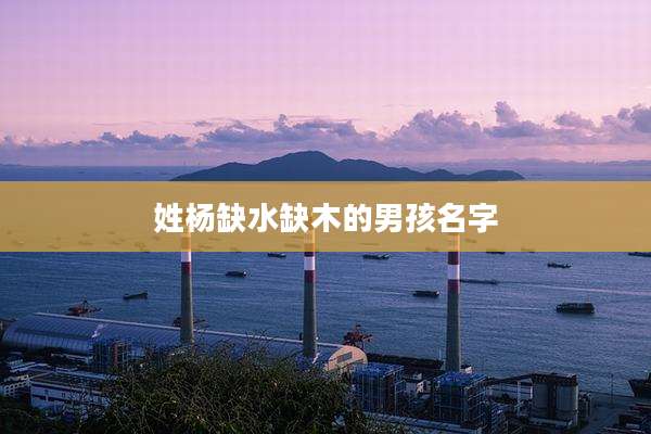 姓杨缺水缺木的男孩名字