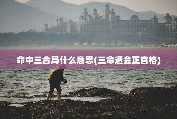 命中三合局什么意思(三命通会正官格)