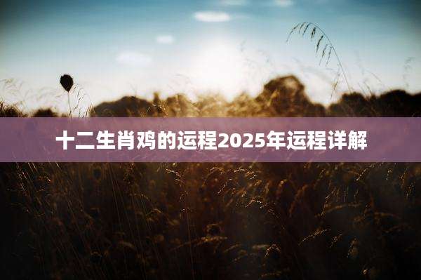十二生肖鸡的运程2025年运程详解