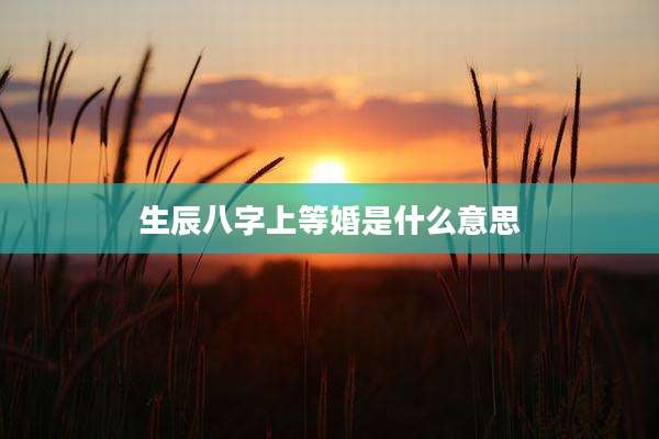 生辰八字上等婚是什么意思