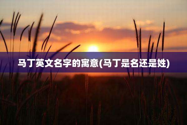 马丁英文名字的寓意(马丁是名还是姓)