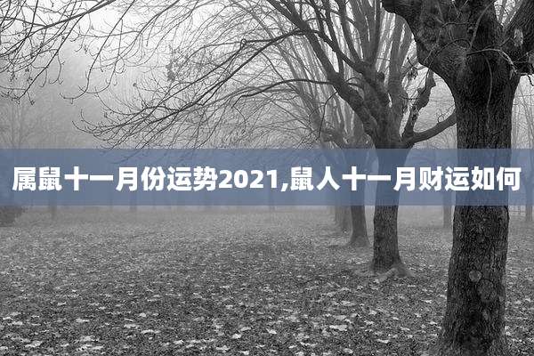 属鼠十一月份运势2021,鼠人十一月财运如何