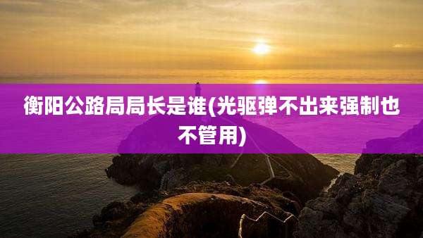 衡阳公路局局长是谁(光驱弹不出来强制也不管用)