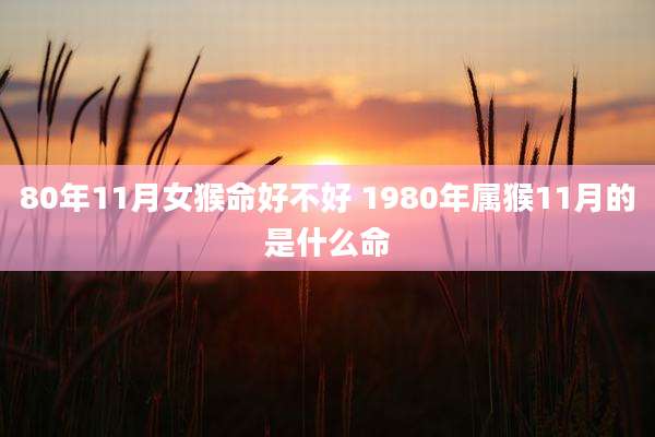 80年11月女猴命好不好 1980年属猴11月的是什么命