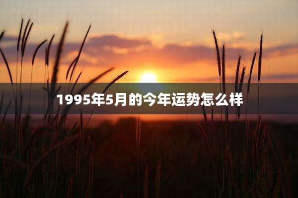 1995年5月的今年运势怎么样