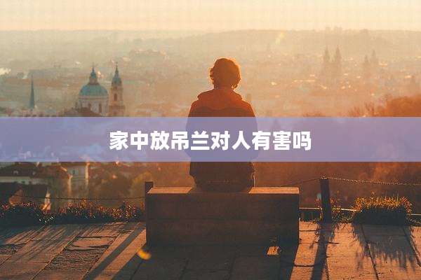家中放吊兰对人有害吗