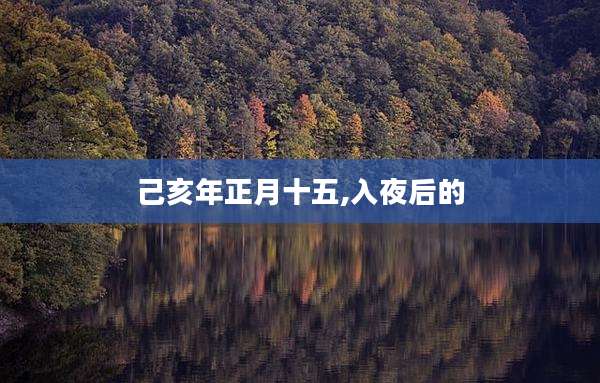 己亥年正月十五,入夜后的