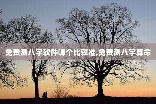 免费测八字软件哪个比较准,免费测八字算命