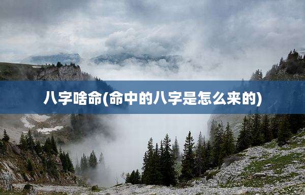 八字啥命(命中的八字是怎么来的)