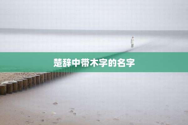 楚辞中带木字的名字