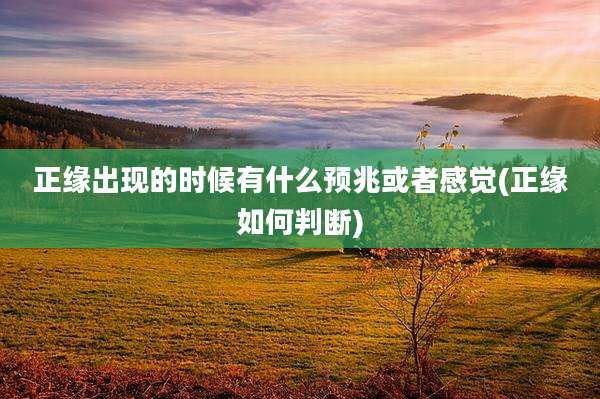 正缘出现的时候有什么预兆或者感觉(正缘如何判断)