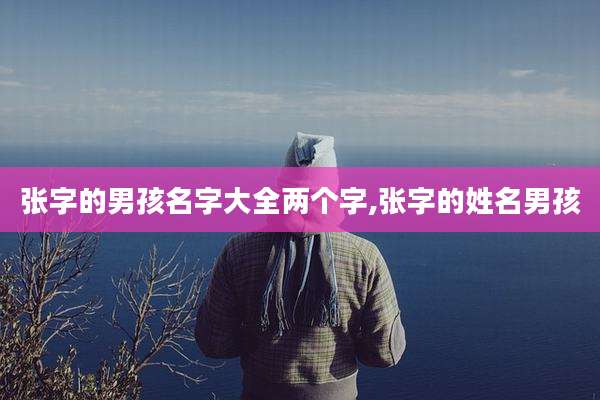 张字的男孩名字大全两个字,张字的姓名男孩