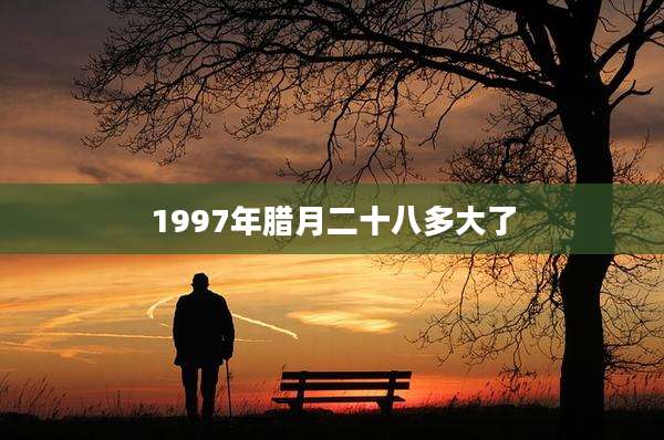 1997年腊月二十八多大了