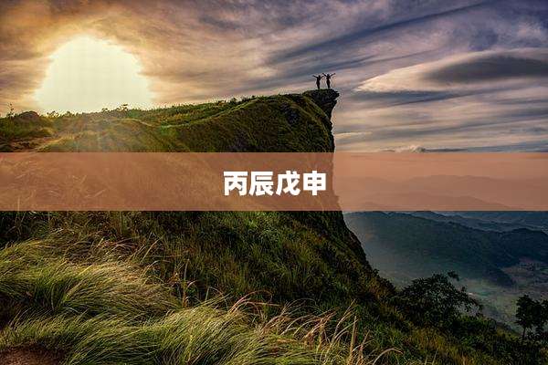 丙辰戊申
