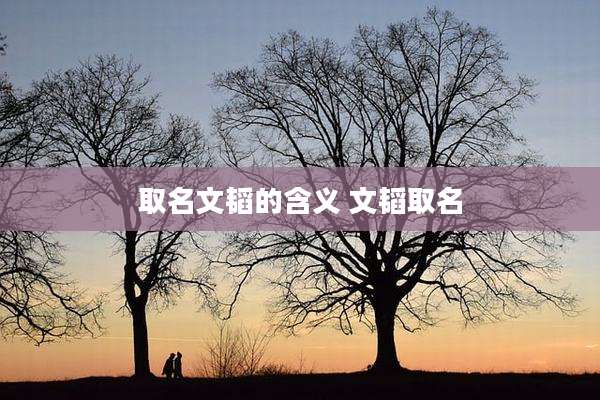 取名文韬的含义 文韬取名