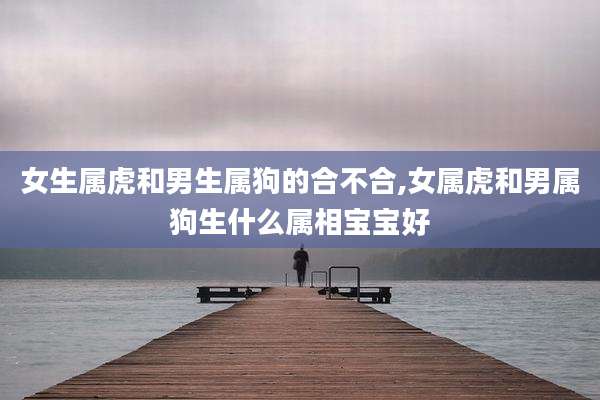 女生属虎和男生属狗的合不合,女属虎和男属狗生什么属相宝宝好