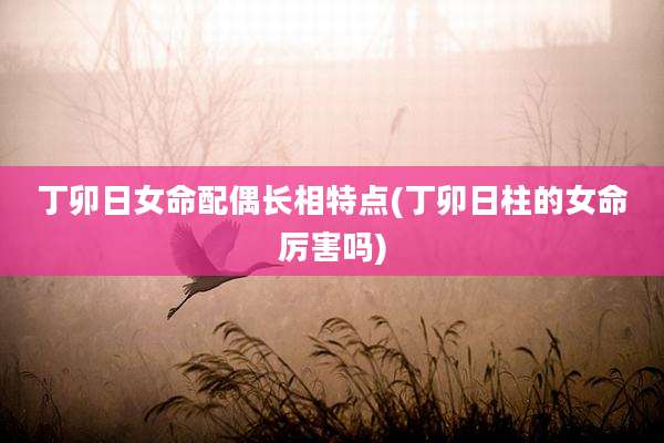 丁卯日女命配偶长相特点(丁卯日柱的女命厉害吗)