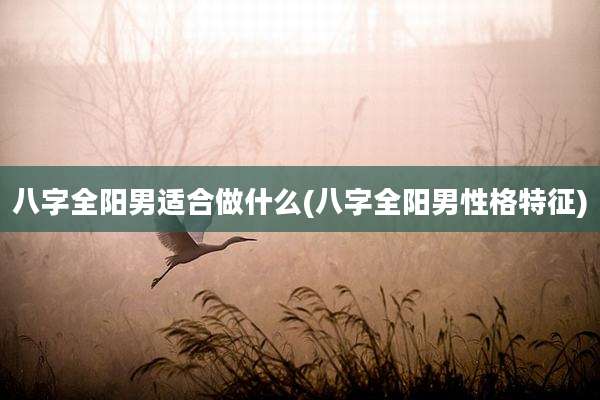 八字全阳男适合做什么(八字全阳男性格特征)