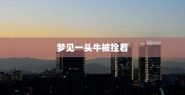 梦见一头牛被拴着