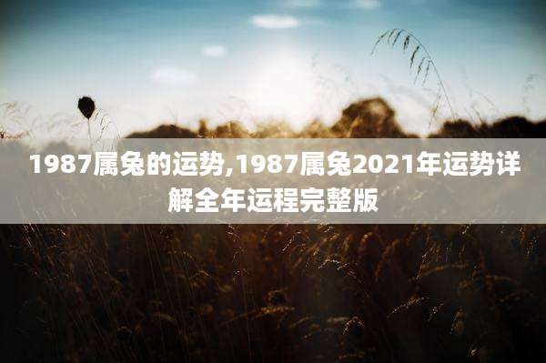 1987属兔的运势,1987属兔2021年运势详解全年运程完整版