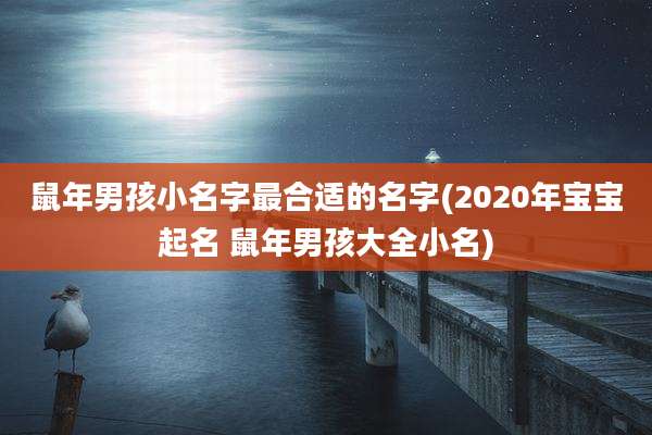鼠年男孩小名字最合适的名字(2020年宝宝起名 鼠年男孩大全小名)