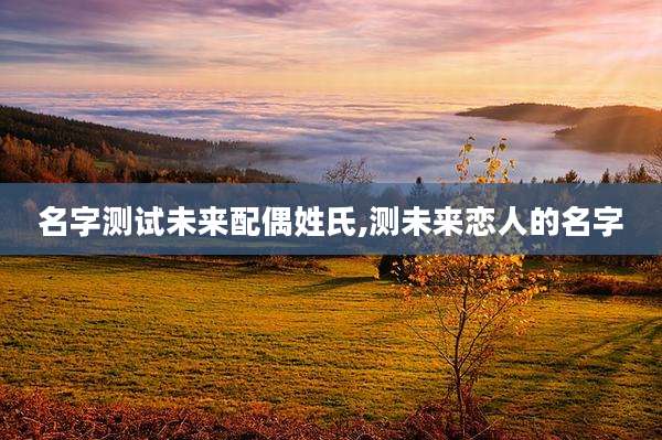 名字测试未来配偶姓氏,测未来恋人的名字