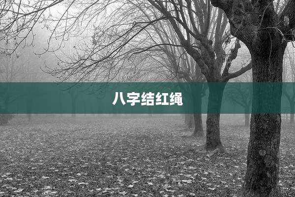 八字结红绳