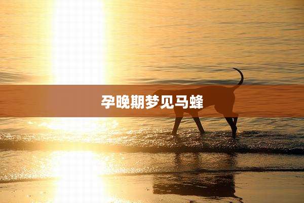 孕晚期梦见马蜂