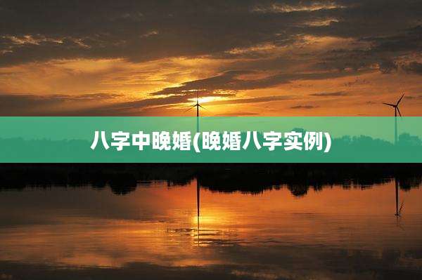 八字中晚婚(晚婚八字实例)