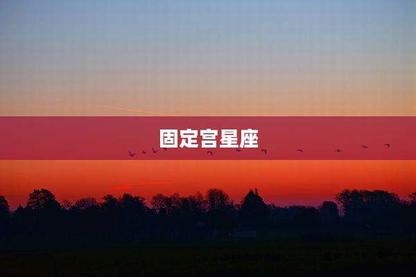 固定宫星座