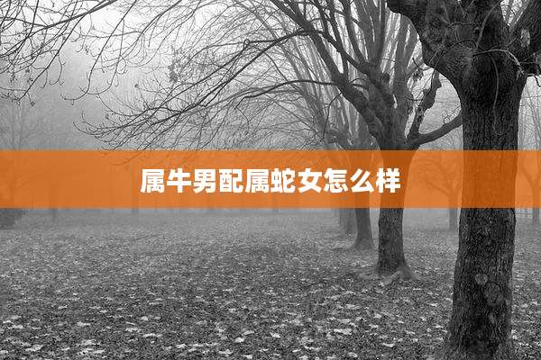 属牛男配属蛇女怎么样