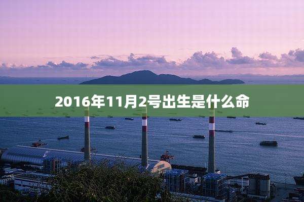 2016年11月2号出生是什么命