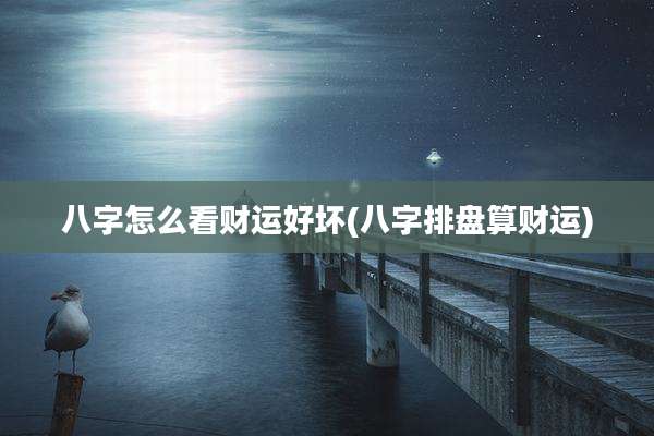 八字怎么看财运好坏(八字排盘算财运)