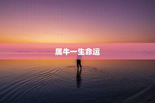 属牛一生命运