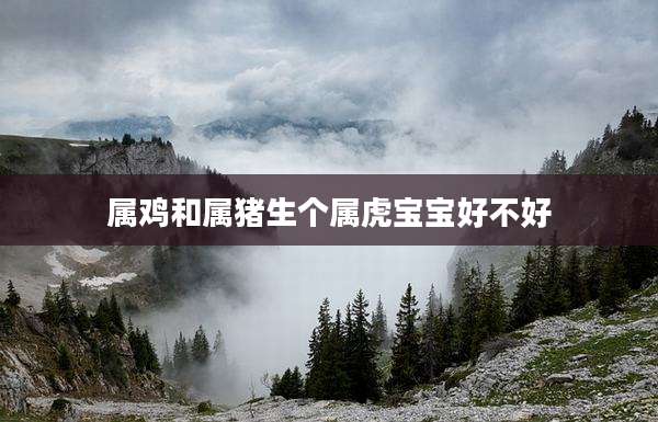 属鸡和属猪生个属虎宝宝好不好