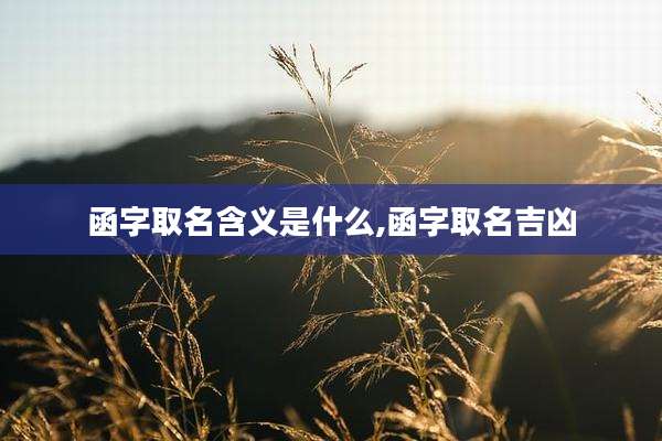 函字取名含义是什么,函字取名吉凶
