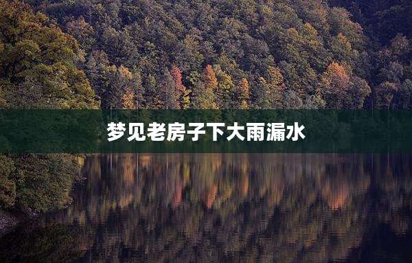 梦见老房子下大雨漏水