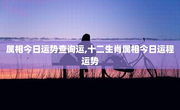 属相今日运势查询运,十二生肖属相今日运程运势
