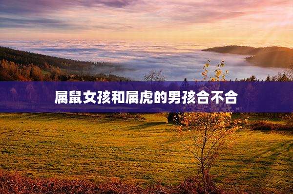 属鼠女孩和属虎的男孩合不合