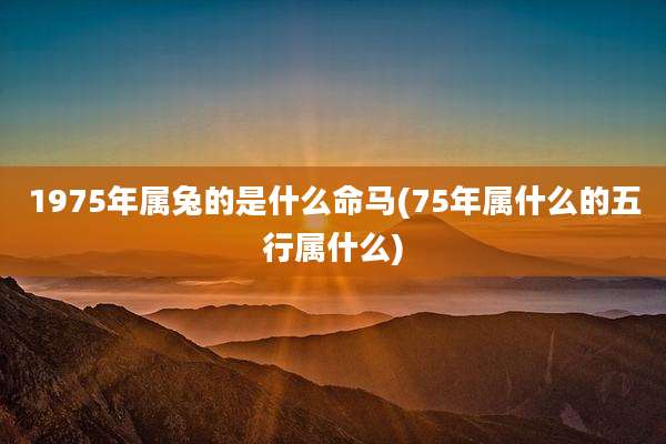 1975年属兔的是什么命马(75年属什么的五行属什么)